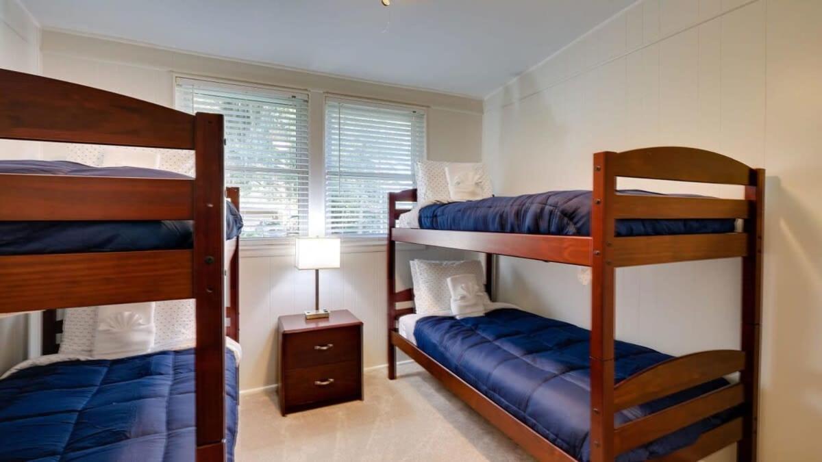 Halcyon Hangout-mins To Downtown-ping Pong-pets Savannah