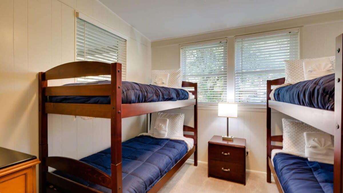 Halcyon Hangout-mins To Downtown-ping Pong-pets Hébergement de vacances