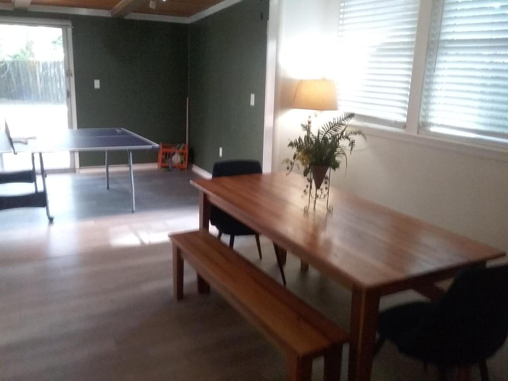 Halcyon Hangout-mins To Downtown-ping Pong-pets * Savannah